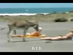 Pornó videó haver ba ...