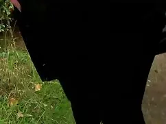 Videó pornó az öröm, ...