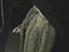 Pornó Johnny glamour ...